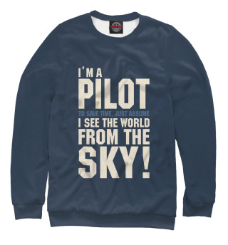 Я Пилот. Я смотрю на мир с неба.